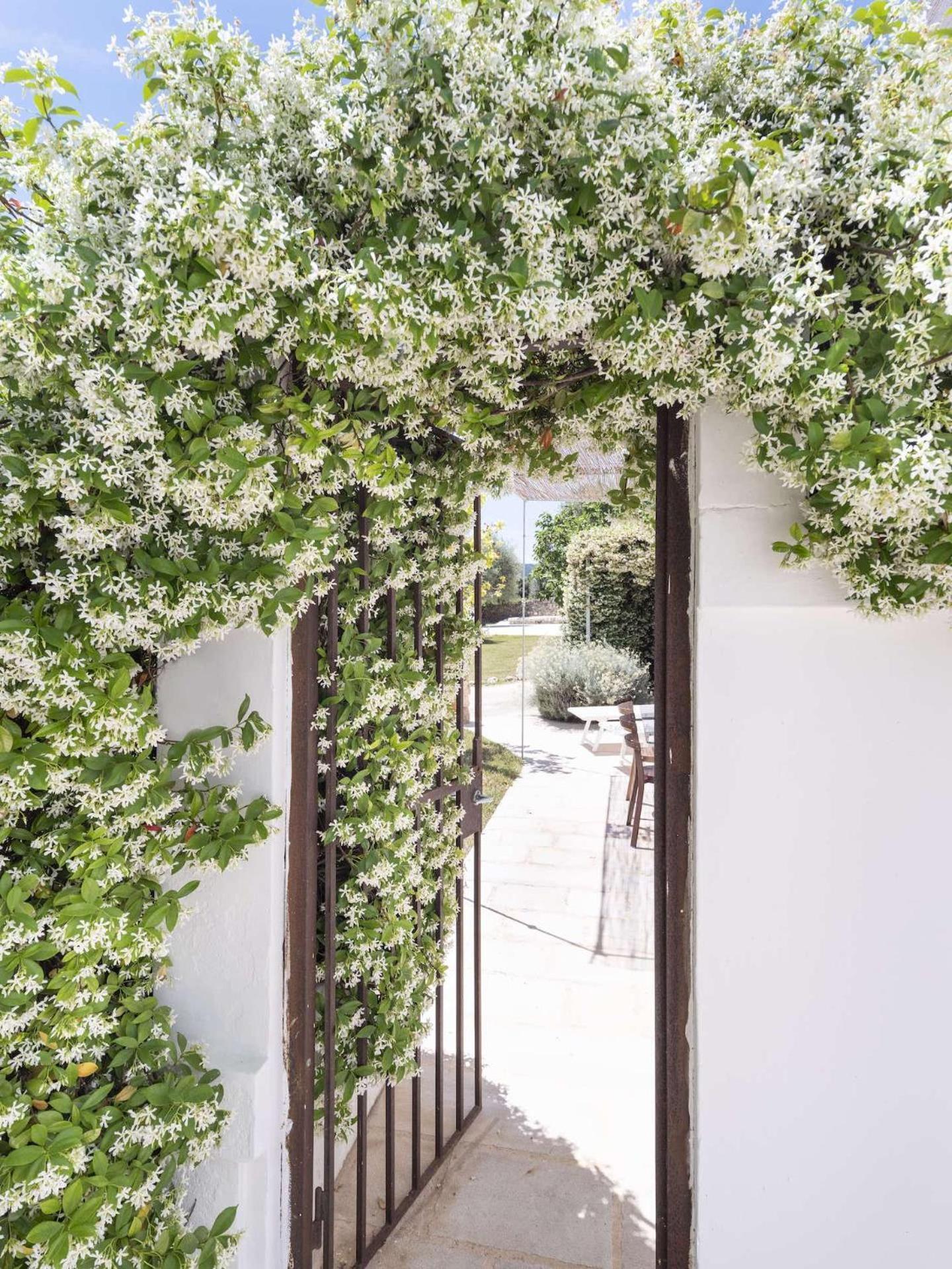 Masseria Alchimia Fasano Bagian luar foto